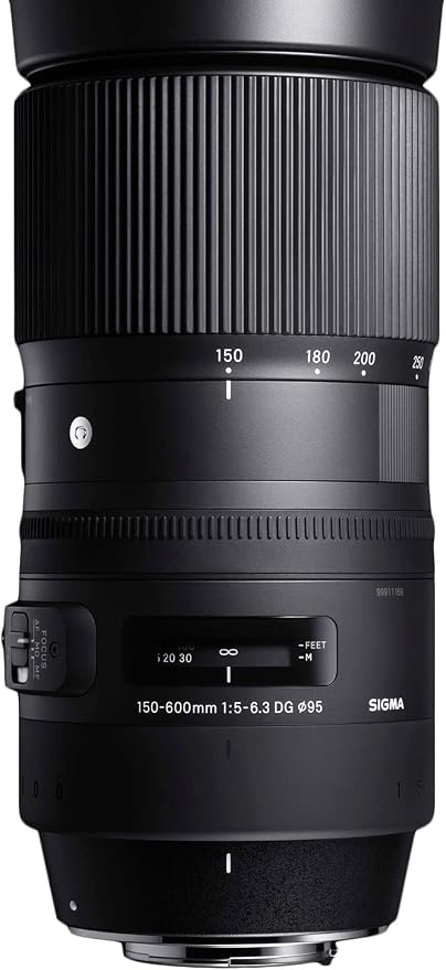 Sigma 150-600mm F5-6.3 DG OS HSM, Objetivo para cámara réflex Nikon F (150 - 600 mm, f/5 - 6.3), negro