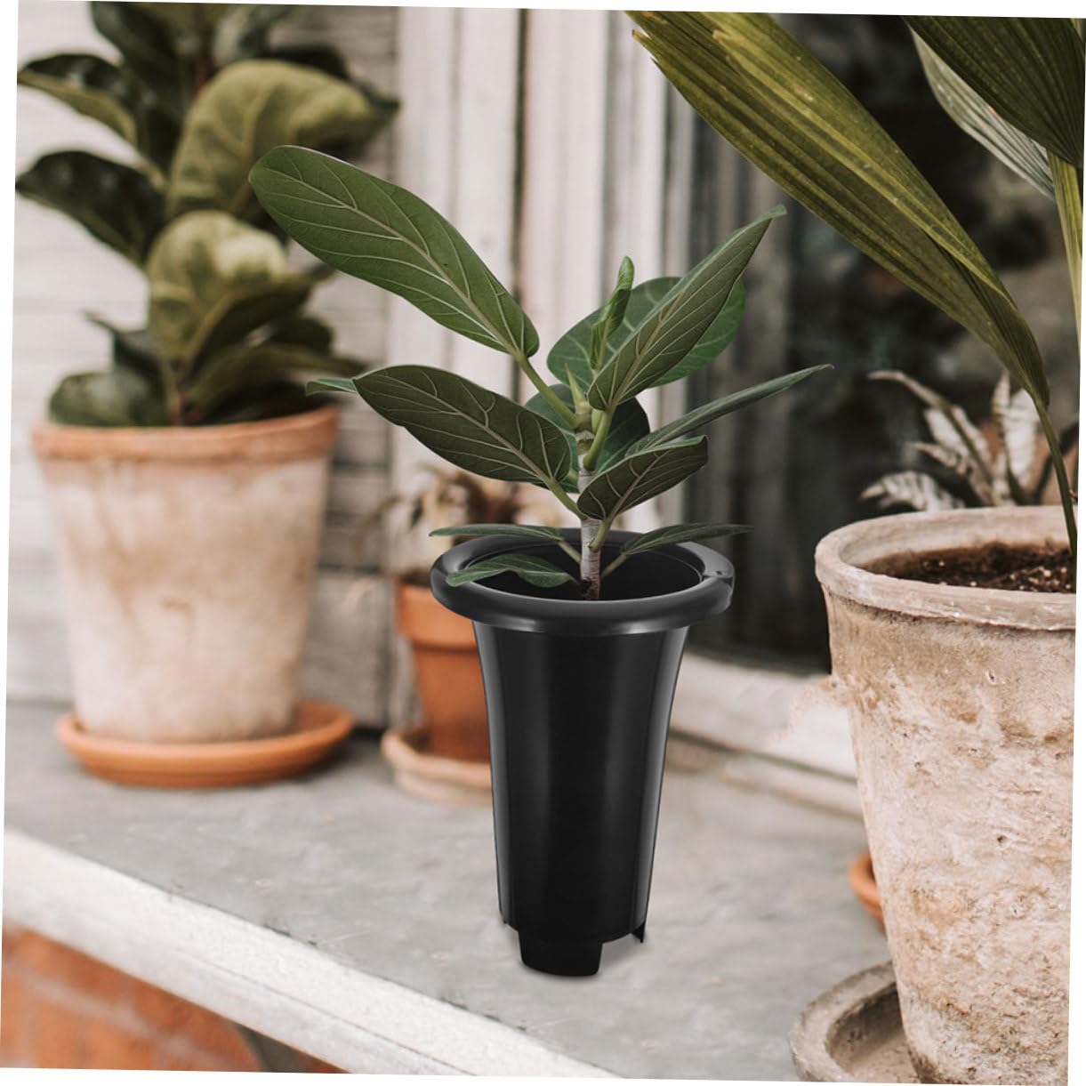 Set 10 Pezzi Vasi da Vivaio in Plastica Neri per Piante Grasse da Interno, Vaso per Piantine Fori Drenaggio, Resistente Pp, per Giardino e Balcone