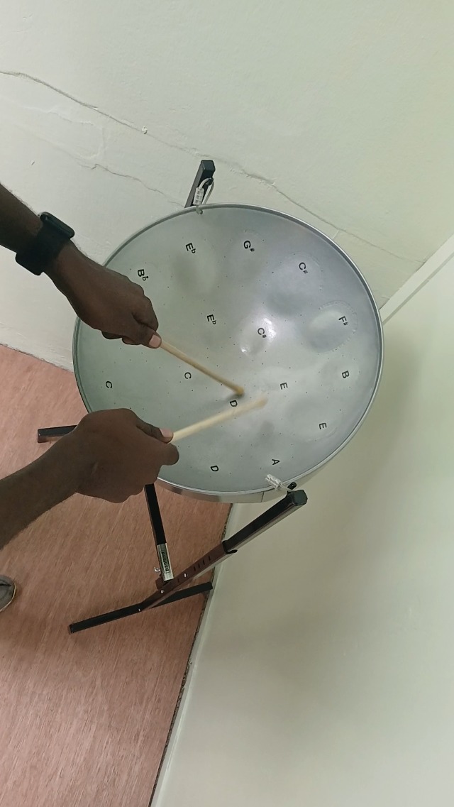 Amazon.com: Panland Mini Tenor Steelpan (Steel Drum) Authenthic
