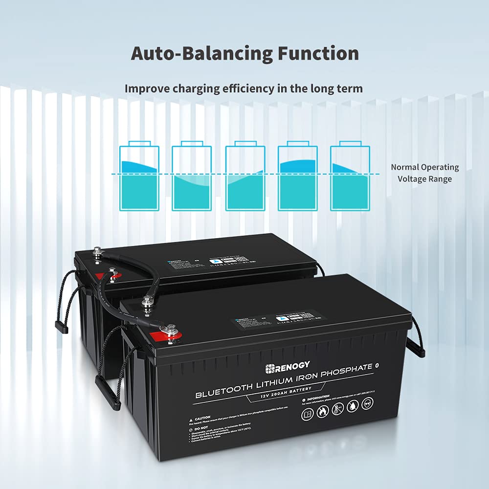 Buy Renogy 12V 200Ah LiFePO4 Deep Cycle Lithium Battery with Bluetooth