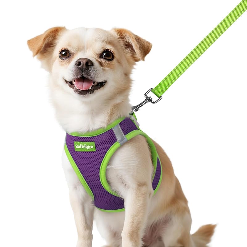 Peitoral vest para cães pequenos com guia, tecido de secagem rápida rabbitgoo Purple & Green XXS