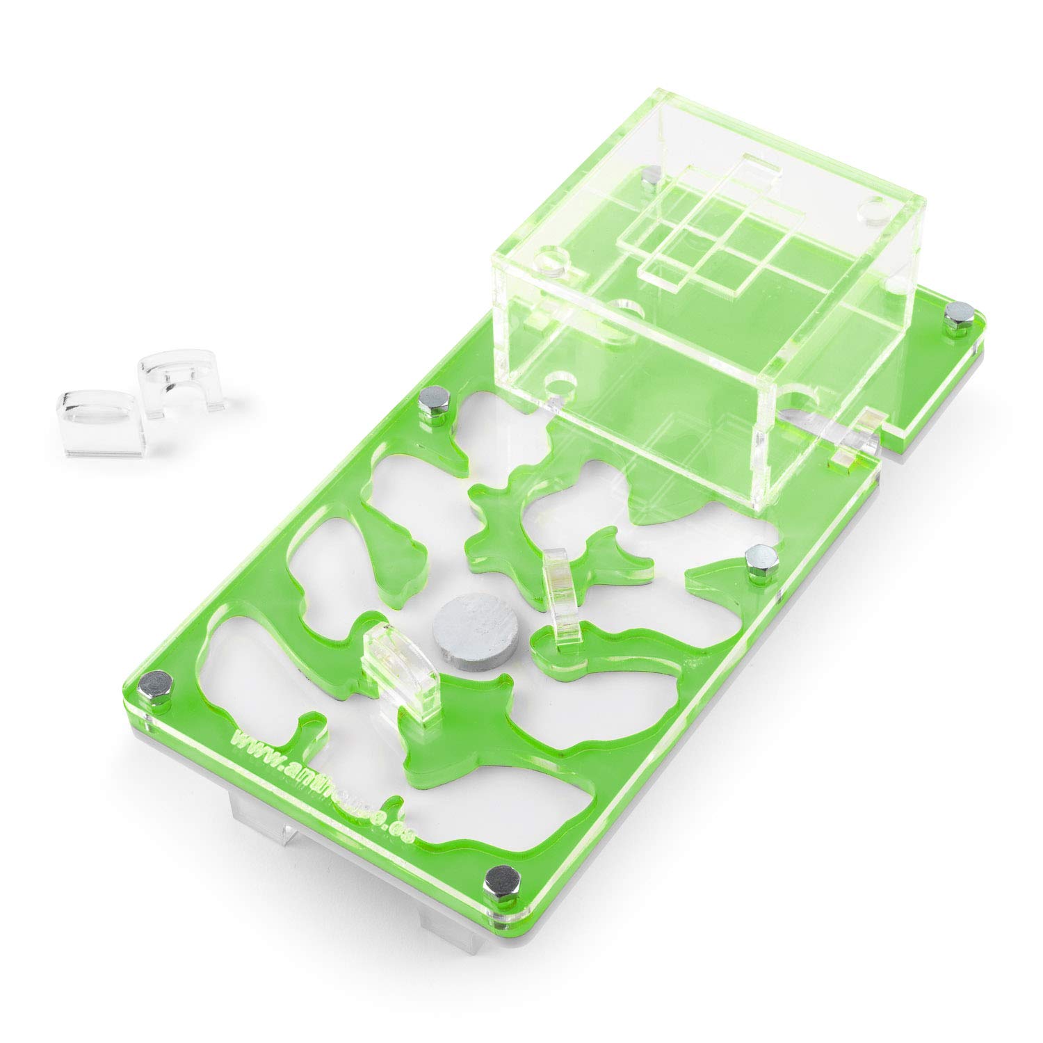 AntHouse - Formicaio Acrilico NaturColor 20x10x1cm - con Sistema di umidità Fungo (Formiche Incluse) - Verde