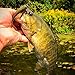 YONGZHI Fishing Lures for bass Trout Walleye Paddle Tail swimbaits Fishing Worms with Weighted Fishing Hooks for Freshwater and Saltwater Fishing with Free Tackle Box