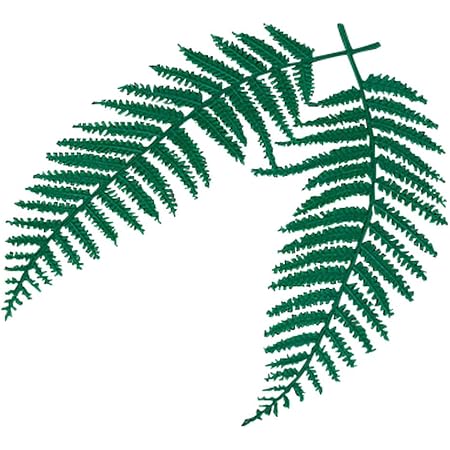 Amazon ウラジロ飾り 100ケ入 中 約13 X L16cm 演出小物 正月 元旦 お節 お祝い 業務用 自宅用 せともの本舗 重箱 Amazon ウラジロ飾り 100ケ入 中 約13 X L16cm 演出小物 正月 元旦 お節 お祝い 業務用 自宅用 せともの本舗 重箱