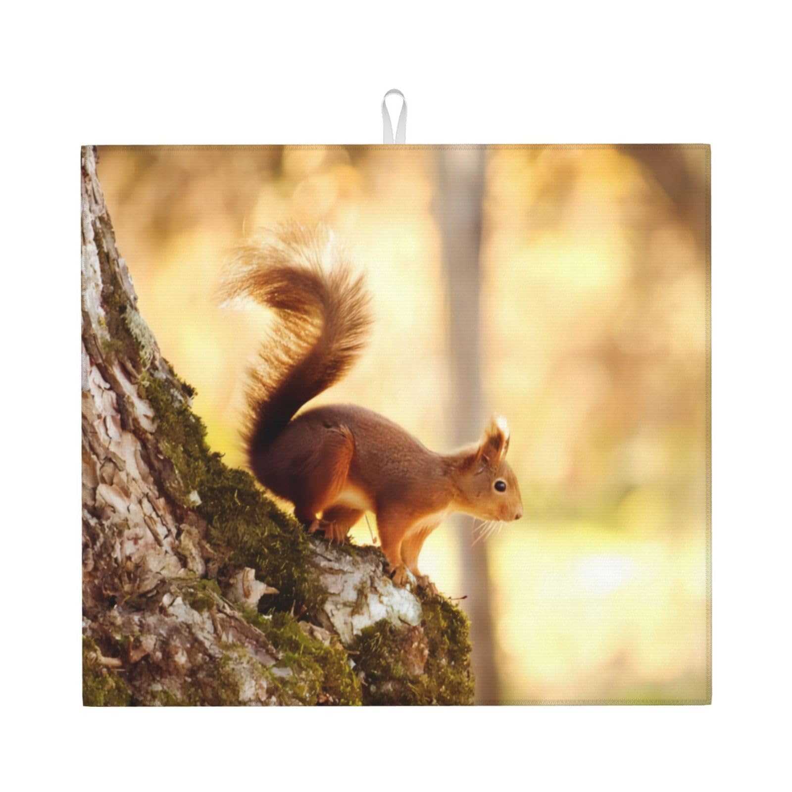 YYHWHJDE Funny Squirrel Prints Kitchen Drying Mat - Absorbent Dish Drying Throw with Vibrant Prints, Quick-Dry Countertop Layer for Dishes & Appliances - Non-Slip & Foldable