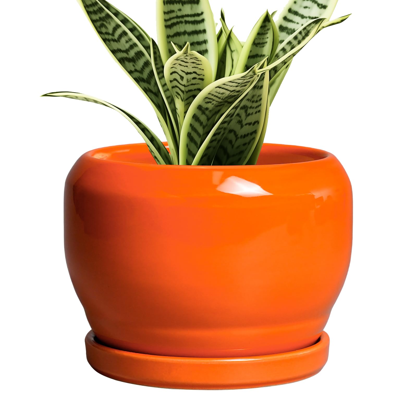 SQOWL Ceramic Plants Pots 6 Inch Orange