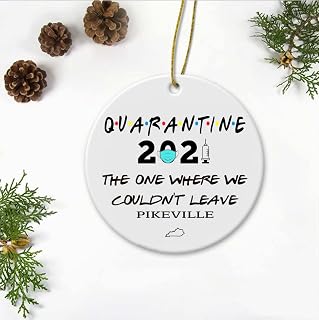 Quarantine Ornament 2021 The One Where We Couldn't Leave Pikeville City Kentucky KY State - Long Distance Relationships Gifts Ornament Plastic 3" Flat