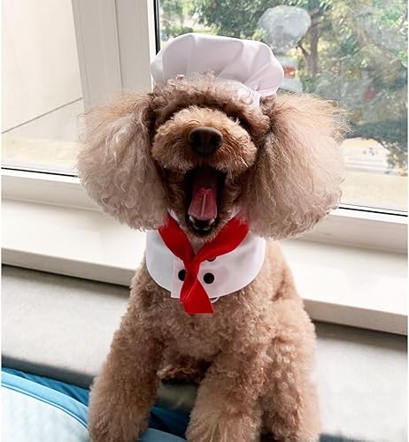 Miniatura 3 de ANIAC Disfraz de chef para perro pequeño, divertido ropa para mascotas con sombrero de cocinero y collar azul marino para mascotas, disfraz de gato
