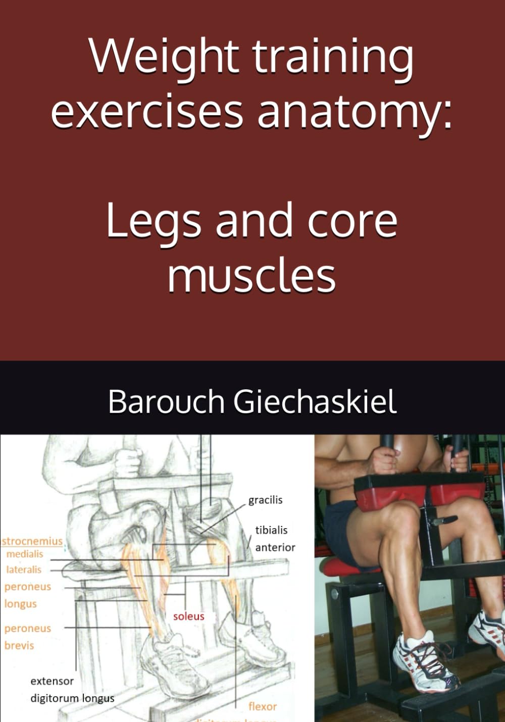Weight training exercises anatomy: Legs and core muscles