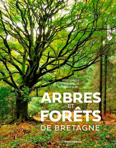 Arbres et forêts de Bretagne pour s'évader de la routine urbaine