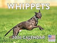 Vista 105 de Calendario de cachorro Golden Retriever 2027 mensual de pared de 12 meses