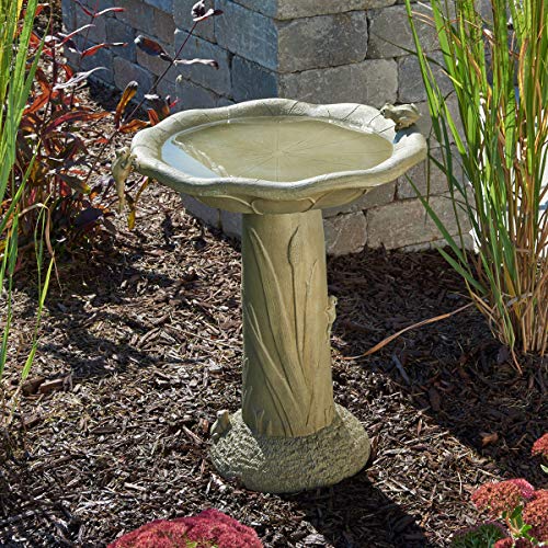 SmartSolar 20633R01 Solar Birdbath, Medium, Olive Green
