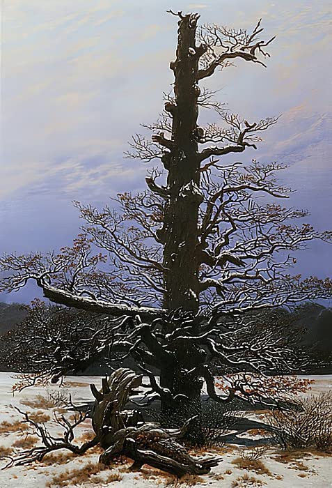 Peinture d'art mural Friedrich pour créer un salon chaleureux et élégant