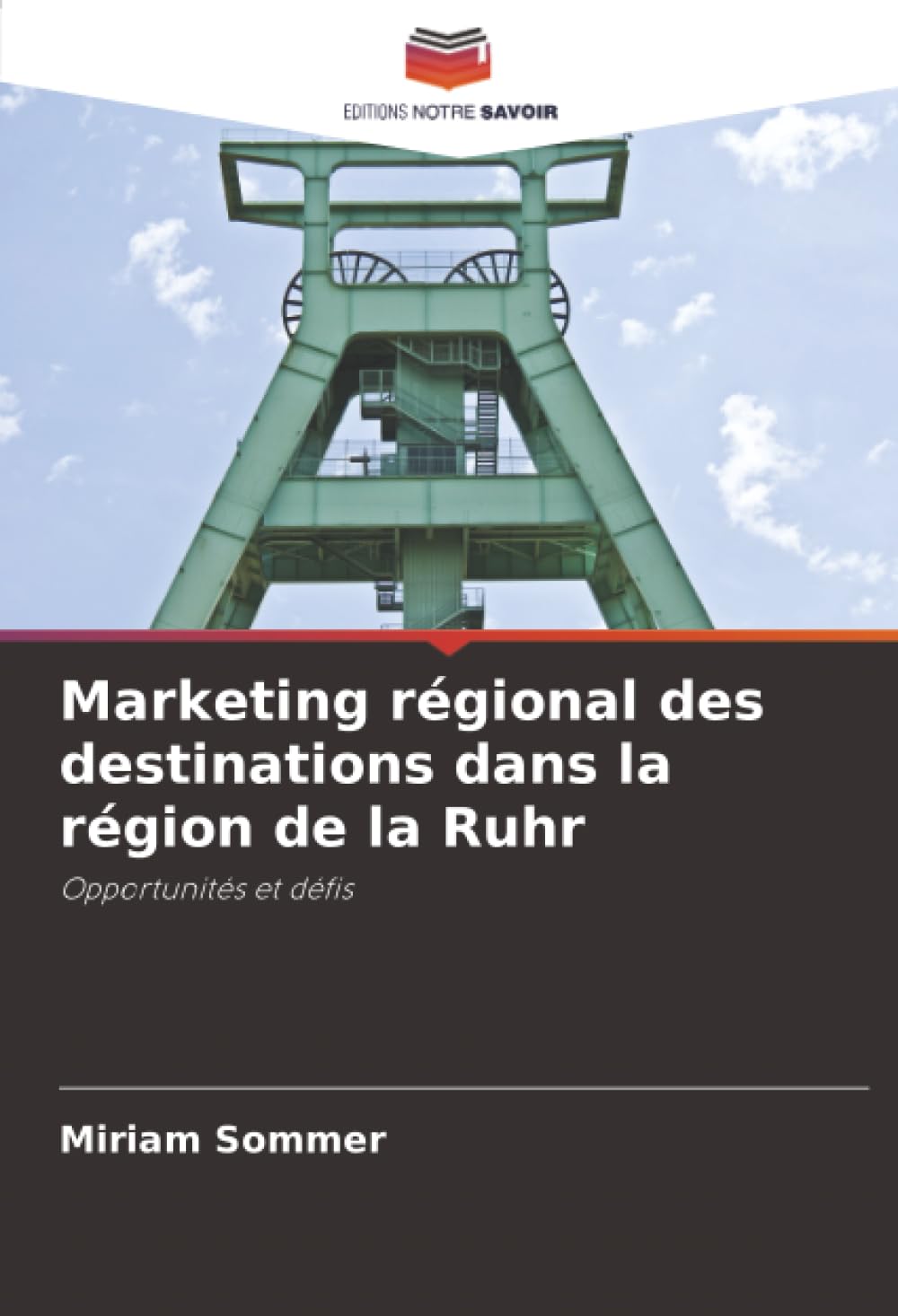 Marketing régional des destinations dans la région de la Ruhr: Opportunités et défis