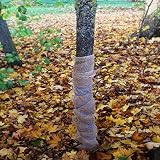 Aquagart Jutegewebe 105g/m² Jutematte Gartenjute Jute Stoff für Dekoration Haus und Garten Sackleinen Juteband für Pflanzen Winterschutz natürliches Gewebe Wurzelschutz verschiedene Längen (5m x 1m)