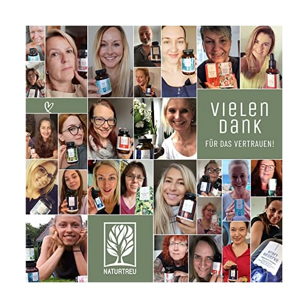 PFLANZENHELD Vegan Multivitamin Kapseln - 120 Kapseln für Veganer und Vegetarier - Daily Vitamins mit B12, Eisen, Zink… – Bild 9