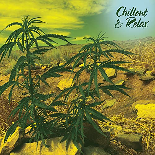 We All Have Darkness and Light Within Us and We Are in Control of Neither