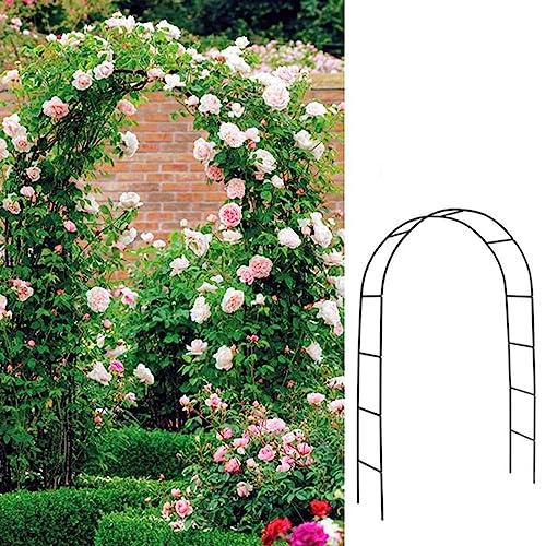 Arche de jardin pour rosiers décorative sur terrasse et patio - 3