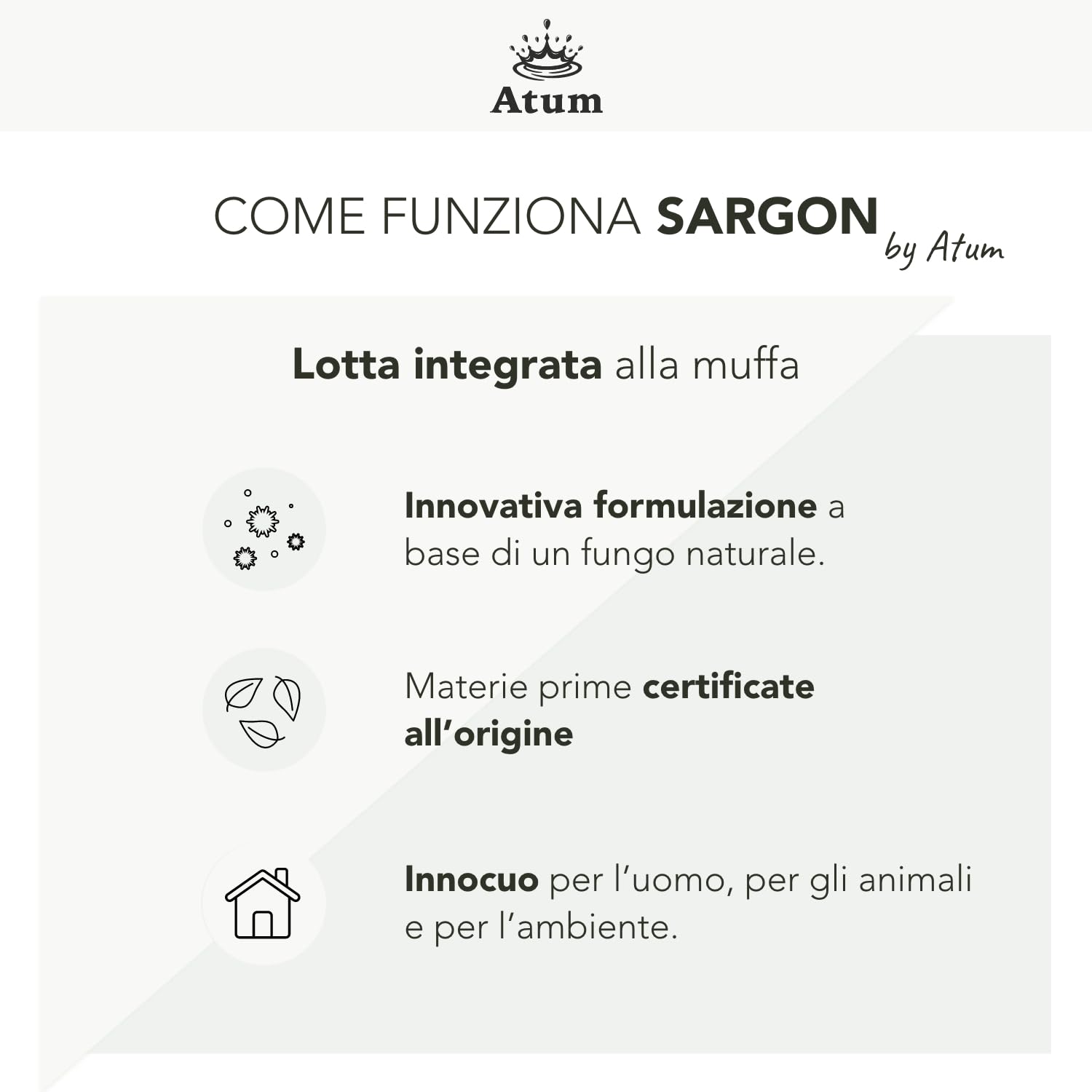 Sargon Rimuove la Muffa, 100% Inodore - Igienizza Muri e Pareti di Casa - Sicuro e Atossico - 500ml