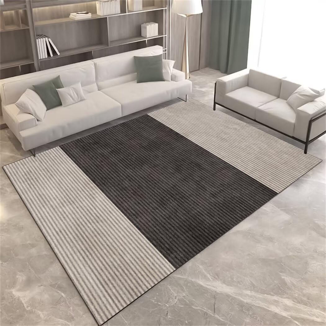 Tapis de chambre hypoallergénique résistant pour grand salon
