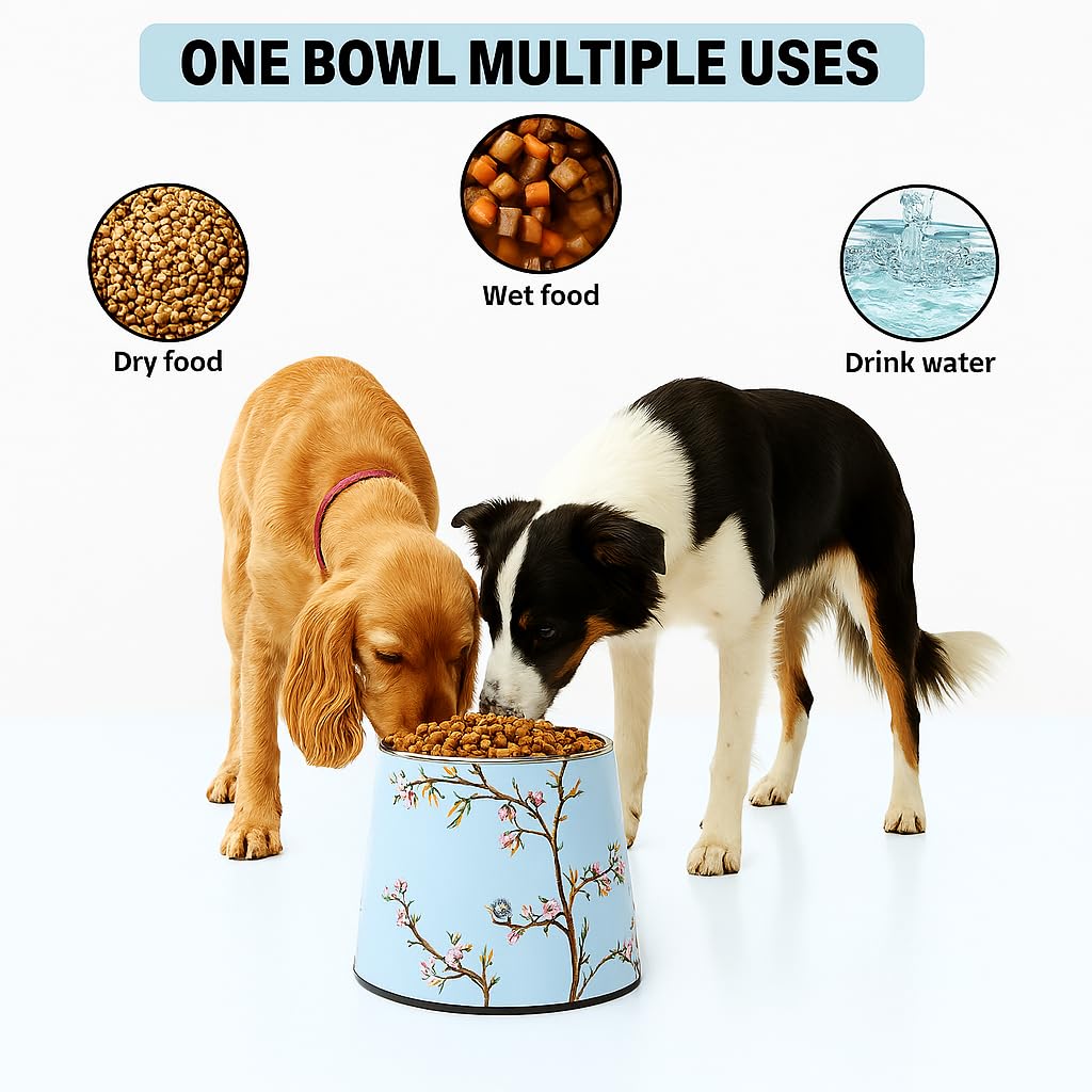 Gamelle surélevée en céramique pour chiens de taille moyenne 17,8 cm