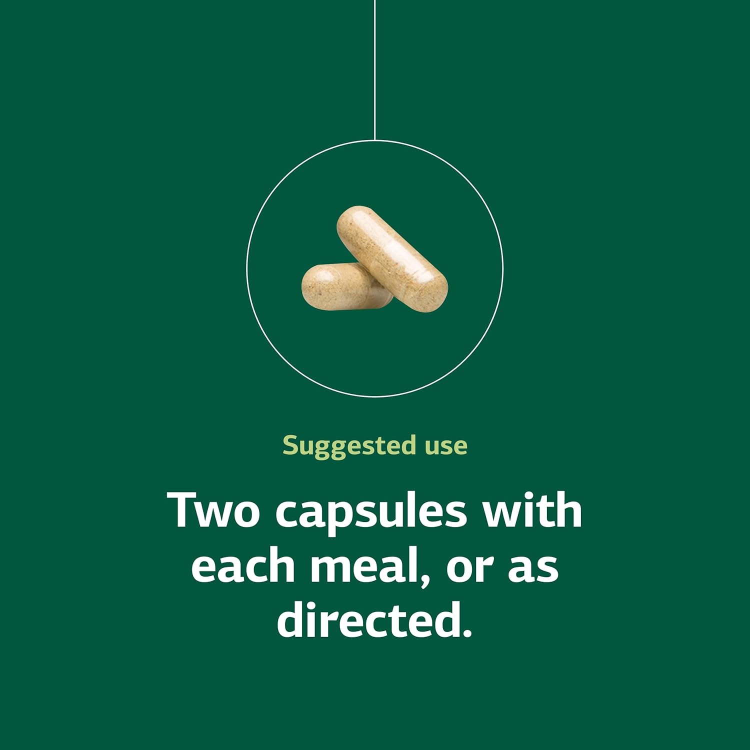 Standard Process Fen-Cho - Digestive & Gut Health Supplement - Gluten-Free, Non-Dairy & Non-Soy - 90 Capsules (45 Servings) - Image 5