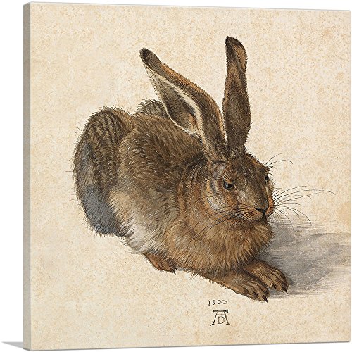 Artcanvas Young Hare 1502 Canvas Art Print Wall Decor By Albrecht Durer - 18" X 18" (0.75" Deep) #TOP14