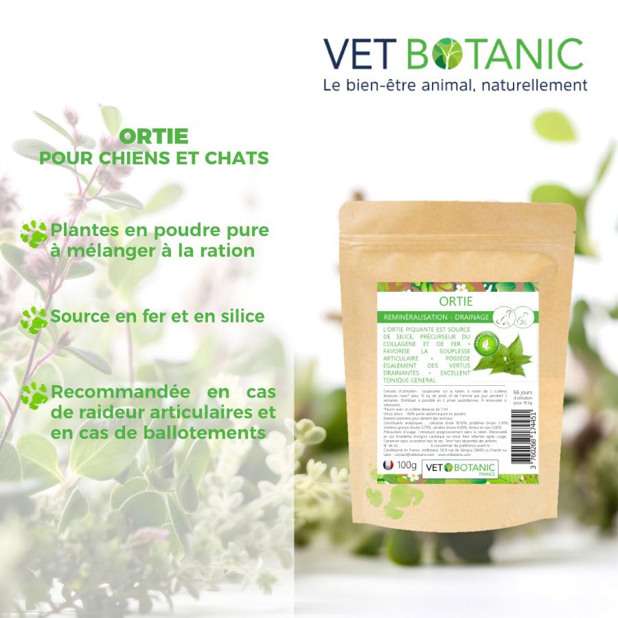 Brennnessel für Hunde und Katzen – Nahrungsergänzungsmittel in Pulver, 100 g Vet Botanic