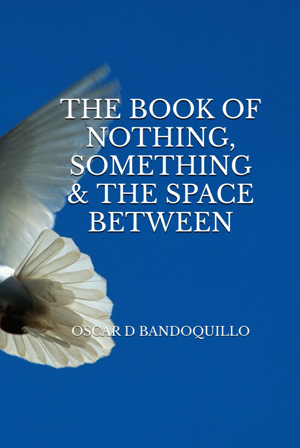 THE BOOK OF NOTHING, SOMETHING & THE SPACE BETWEEN