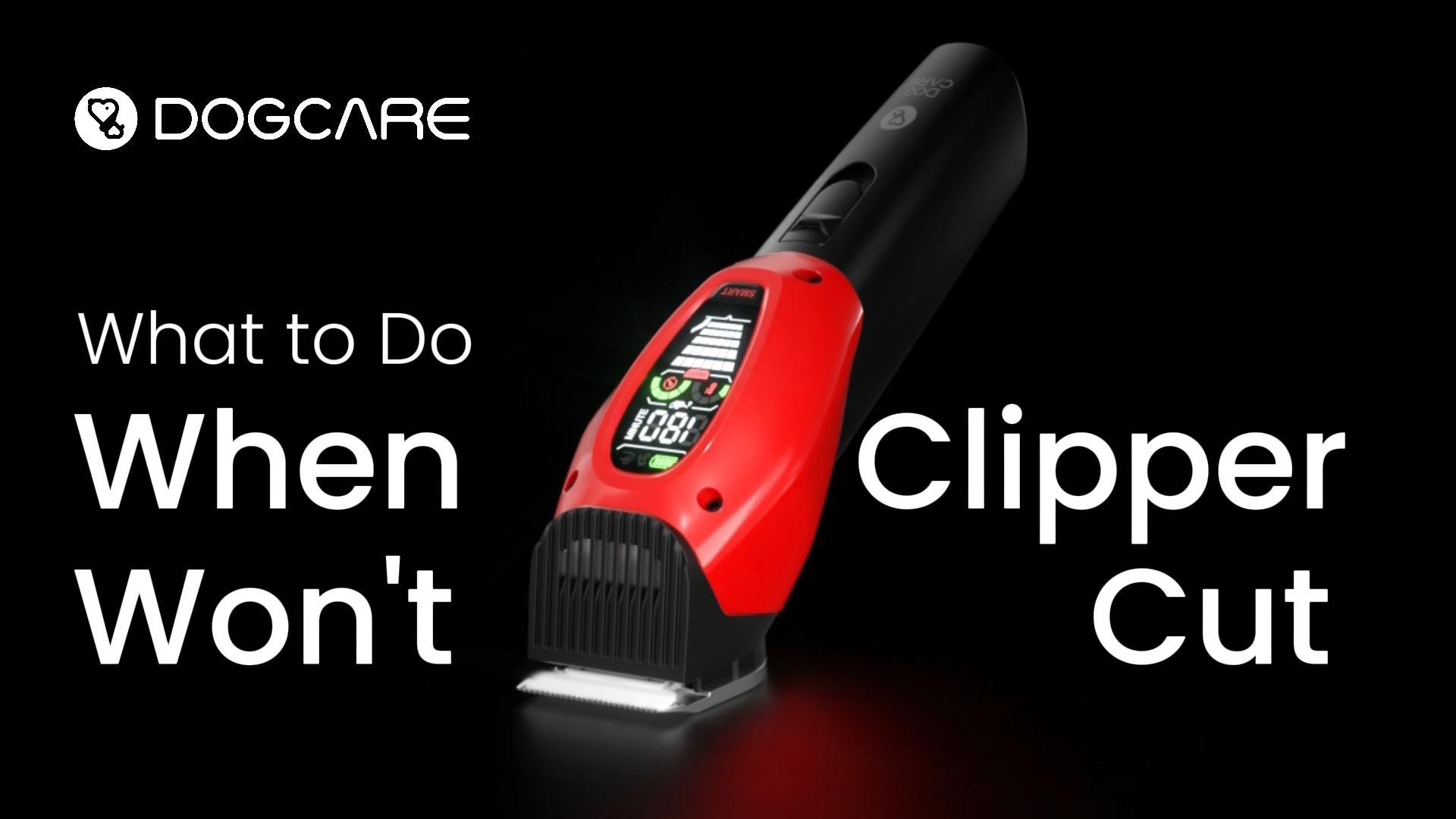 Watch What to do when clipper won't cut? on Amazon Live