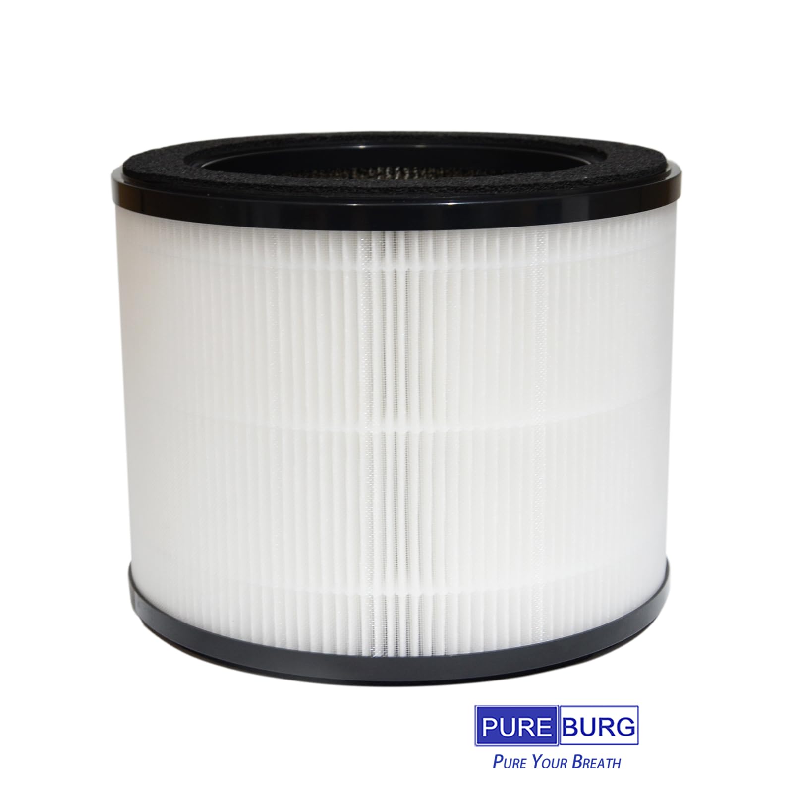PUREBURG AIRMEGA 100 Lot de 2 filtres de rechange compatibles avec purificateur d'air Coway Airmega 100, charbon actif H13 en 3 étapes