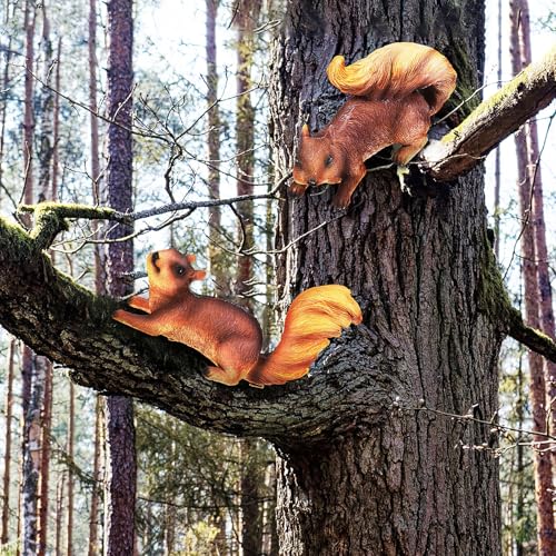 Sculptures d'écureuils haut de gamme résistantes pour design de jardin - 6