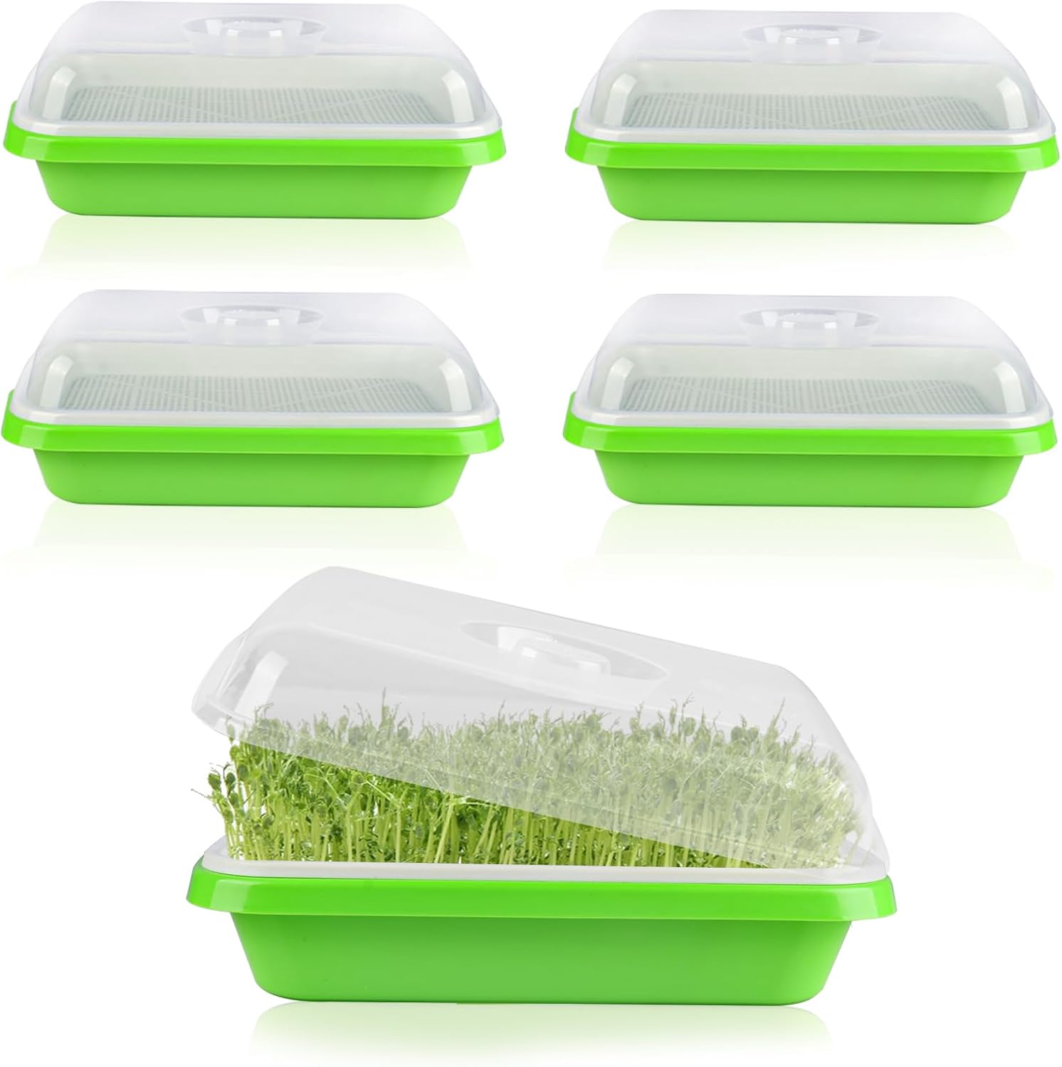Seed Sprouting Tray, 5 Packs Microgreens Growing Trays Big Capacity Sprouts Growing Kit Soil-Free Sprouter Tray for Sprouting Seeds, Beans, Wheatgrass (with Lids)