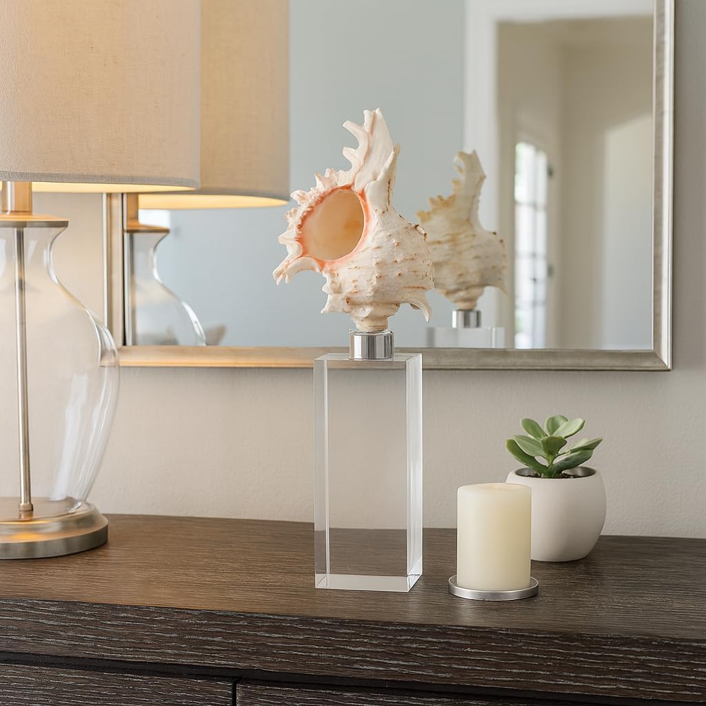 Decorative Shell Sculpture on Crystal Base for Home Decor Figurine - Perfect Accent for Bathroom, Office, or Living Room - Unique Ornaments and Statues for Shelf or Coffee Table - 10", Clear & White