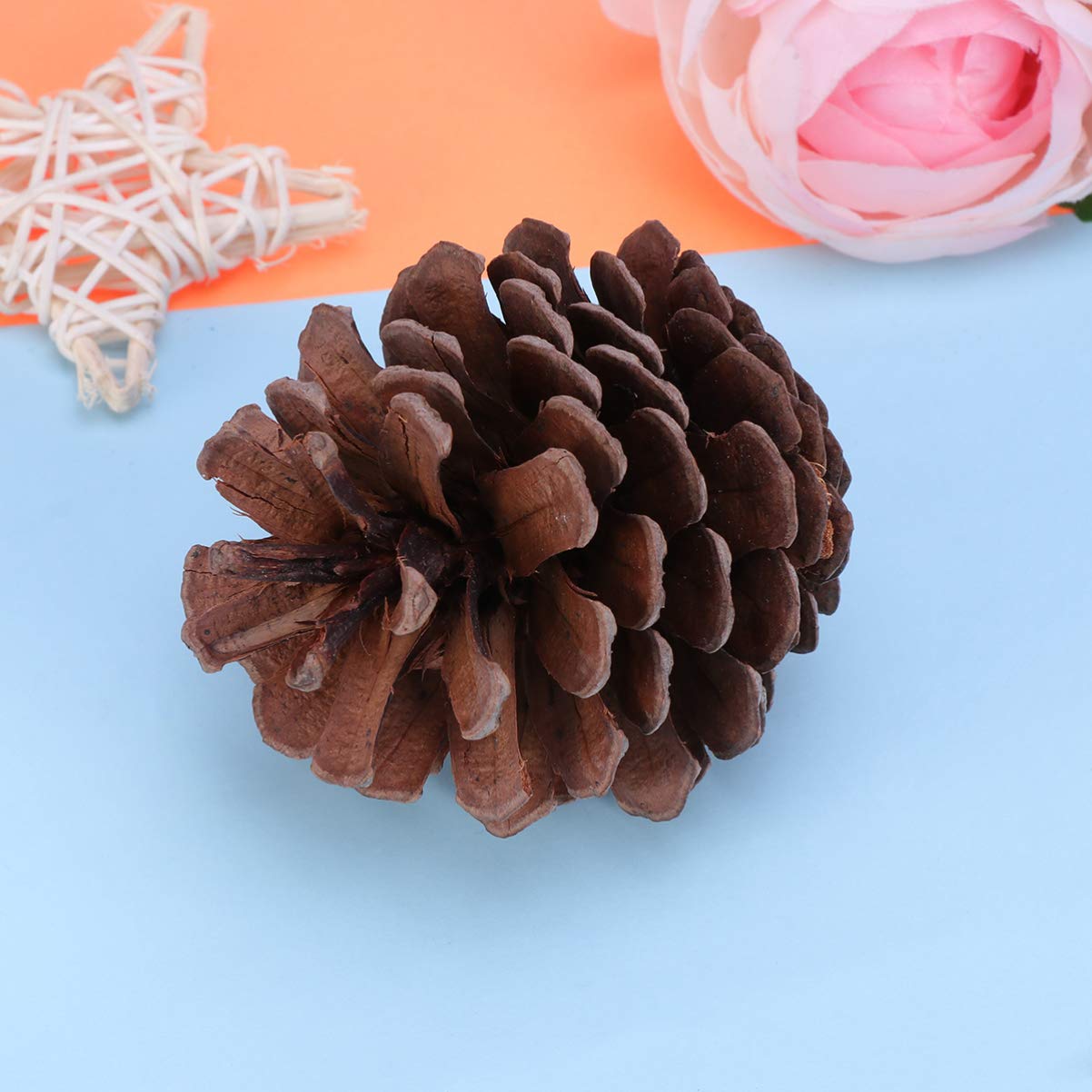 Natürliche Tannenzapfen Ornamente 50 Stück 6-8cm für Weihnachten | Wiederverwendbar, Winterdekoration für Zuhause und Party, Passende Deko für Küche, Vitrine