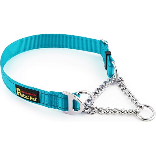 Plutus Pet Martingale Dog Collar with Stainless Steel Chain and Reflective Nylon, Adjustable No Pull Training Collar, for Small Medium, and Large Dogs, Cyan, M