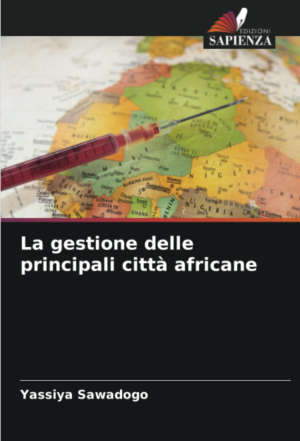 Gestion des villes africaines : livre d'analyse urbaine et de gouvernance