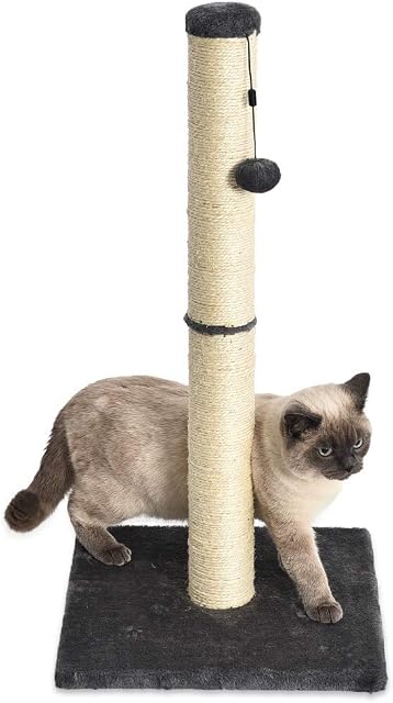 Amazon Basics Medium Cat Scratching Post - 16 x 16 x 32 Inches, Gray