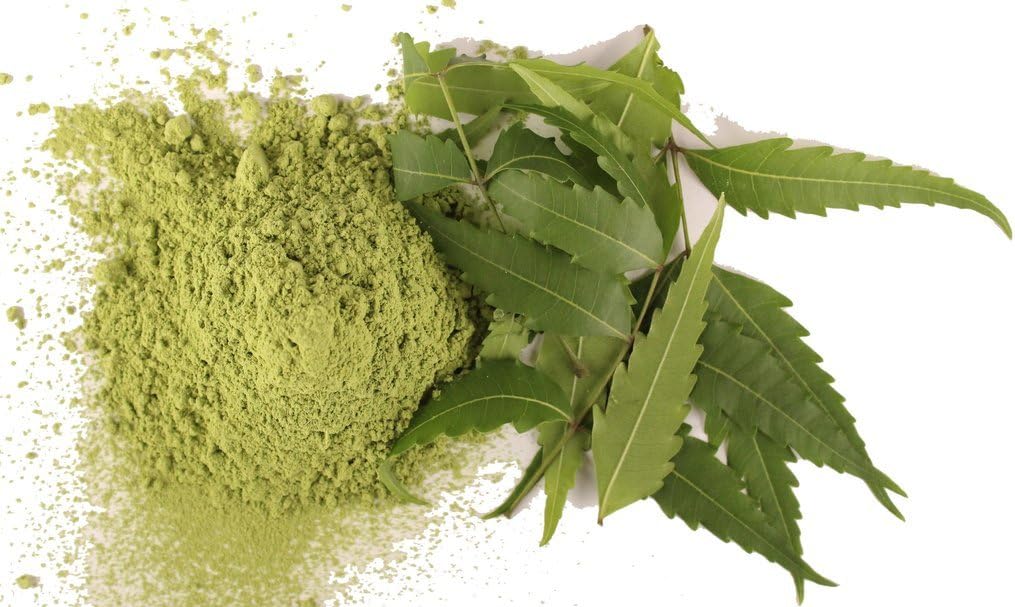 1000g | 1 Kg Natural Neem Leaves Leaf Powder | Limda Powder | AZADIRACHTA Indica - Premium Quality