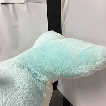 Amazon.co.jp: 新江ノ島水族館 イルカ ぬいぐるみ 約60㎝ いるか