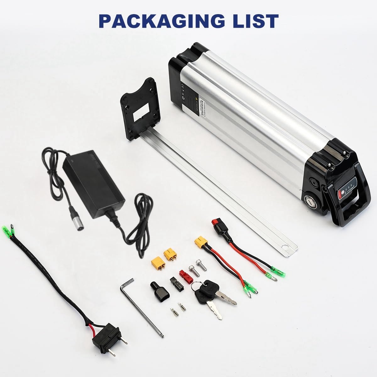 Batteria Ebike 36V 15AH, Batteria Litio Bici Elettrica per 200W-250W Motore Bicicletta, con Porta Scarico 2 Pin, Caricatore 42V, Serratura Sicura, BMS e Maniglia Portatile