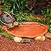 Flushbay Extra Large Reptile Bathing Pool Tortoise Bathing Pool Reptile Feeding Dish Water Bath Bowl Aquarium Ornament for Gecko, Snake, Turtle, Bearded Dragon, Lizard Bath (Red Pottery)