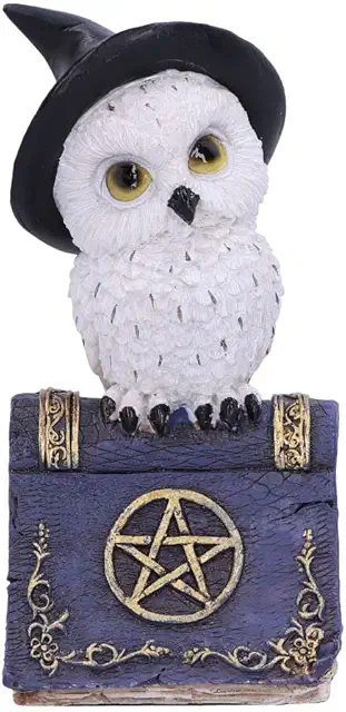 Nemesis Now Blue Bird Spell Owl Figurine - 12.5 cm Resin Witchcraft Beeldjes Uilen