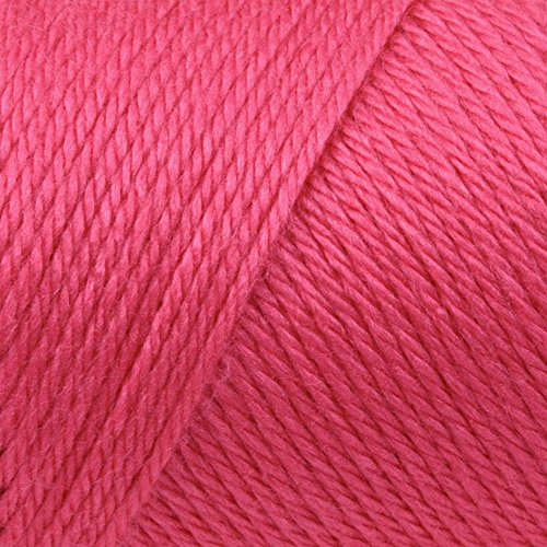 Image of Bulk Buy: Caron Simply Soft Yarn Solids (2-Pack) (Watermelon)