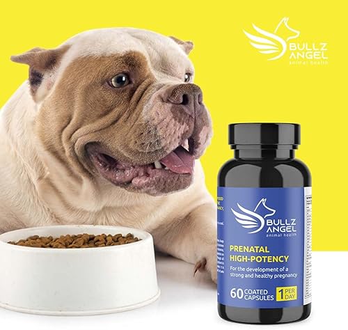 Miniatura 3 de Prenatal de Alta Potencia