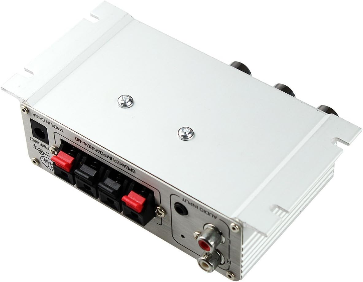 Lepy LP-268 Amplifier Rear Panel