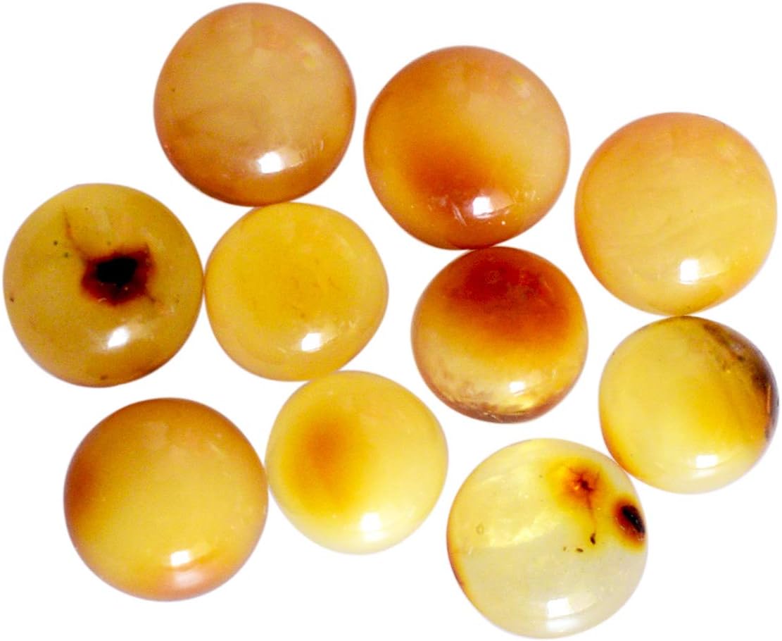 Ravishing Impressions Natural Baltic Sea Amber Round Cabochon, 10 Pieces Lot, Flat Back, Smooth Amber, Fossilized Amber Supply Stone for Ring Pendant,