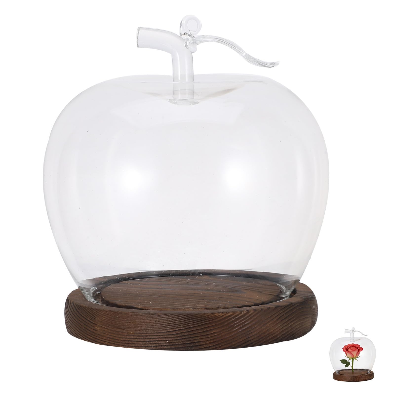 Cúpula de cristal con base de madera en forma de manzana para proteger tus flores