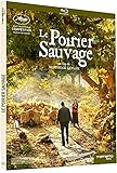 Le Poirier sauvage