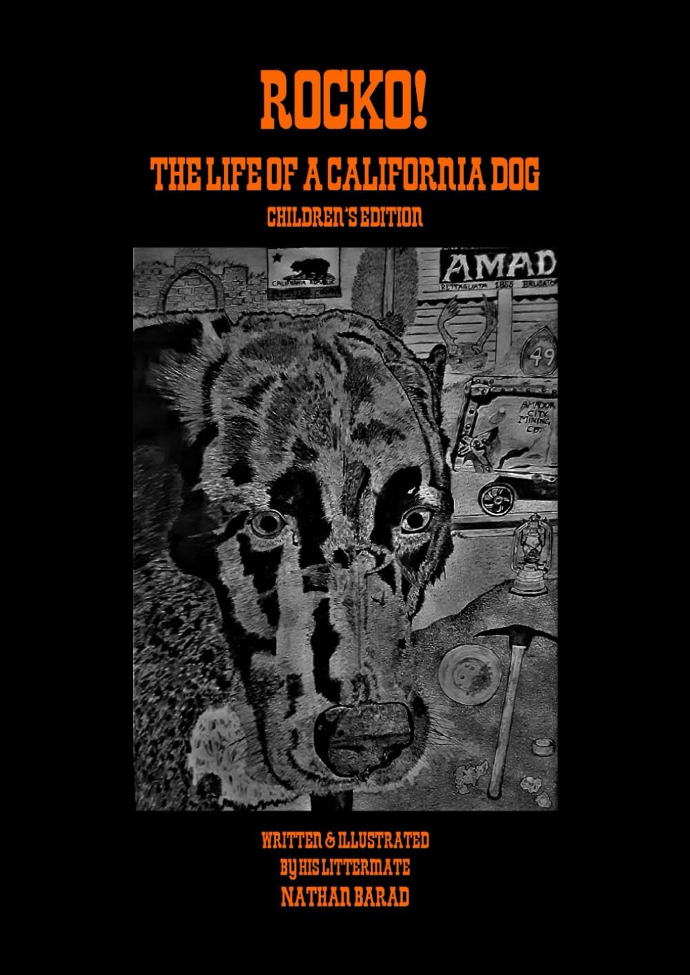 ROCKO!: The Life of a California Dog CHILDREN'S EDITION